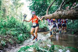 BIB: 
                            <button type="button" onclick="openModal(25474666)" class="btn btn-primary btn-sm float-right btn-popup" data-toggle="modal" data-target=".modal-high-quality">
                        <i class="fas fa-shopping-cart"></i> Add to Cart
                    </button>
                                            <button type="button" onclick="isThisMe(25474666, true)" class="btn btn-success btn-sm float-right btn-popup btn-isme hidden" data-toggle="tooltip" data-placement="bottom" title="นี่คือรูปของคุณใช่ไหม คลิกที่นี่เพื่อเอาเข้าอัลบั้ม">
                        <i class="fas fa-plus"></i> Add to album
                    </button>
                    <button type="button" onclick="isThisMe(25474666, false)" class="btn btn-warning btn-sm float-right btn-popup btn-isnotme hidden">
                        <i class="fas fa-ban"></i> Remove from album
                    </button>